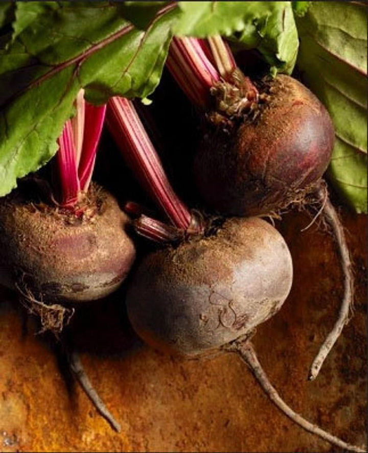 Beet vegetable seeds for planting – Heirloom & Non-GMO nutritious garden seeds