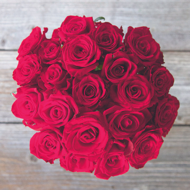 Dark Pink Rose Flower Seeds for Planting – Wildflower Mix, Heirloom, Non-GMO, High Germination Organic Garden Seeds