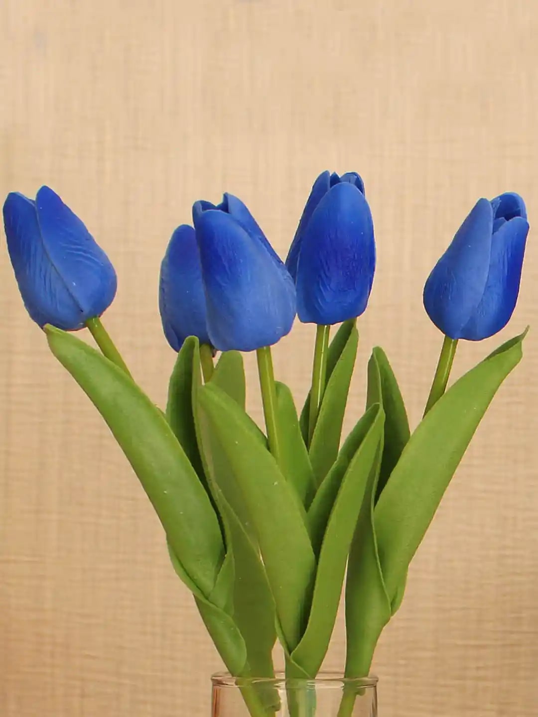 Dark Blue Tulip Flower Seeds for Planting – Heirloom, Non-GMO, Shade Tolerant, High Germination