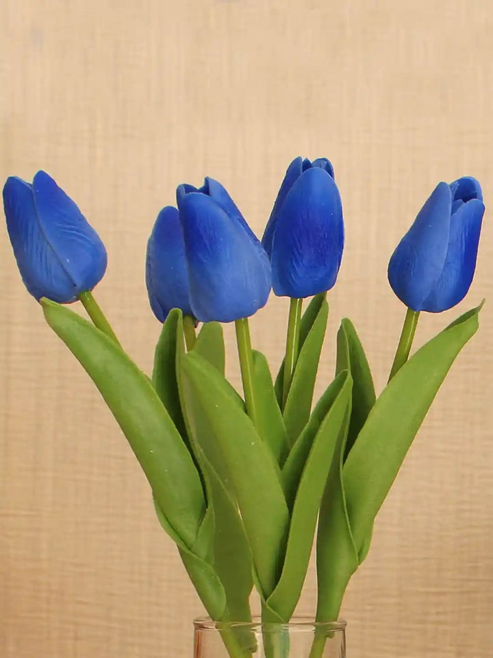 Dark Blue Tulip Flower Seeds for Planting – Heirloom, Non-GMO, Shade Tolerant, High Germination