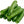 Vegetable Seeds,Garden seeds, Seeds For Planting,Plant Seeds