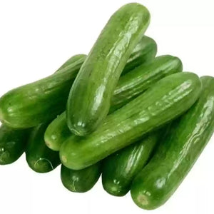 Vegetable Seeds,Garden seeds, Seeds For Planting,Plant Seeds