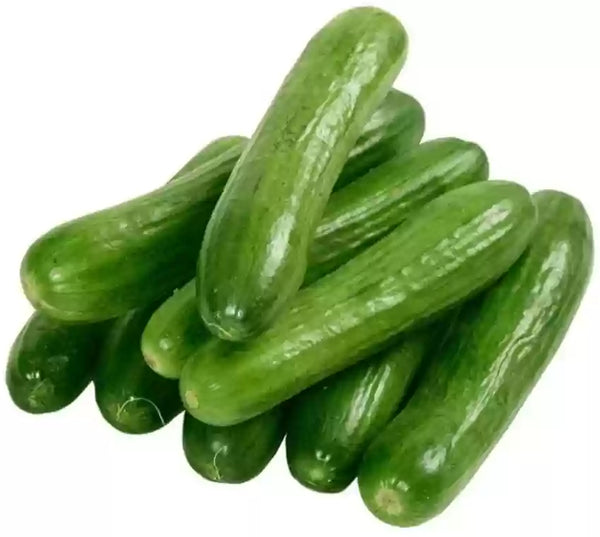 Vegetable Seeds,Garden seeds, Seeds For Planting,Plant Seeds