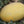 Yellow Musk Melon fruit seeds for planting - Heirloom & Non-GMO Garden seeds