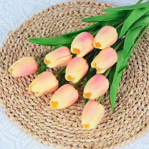 Peach Tulip Flower Seeds for Planting – Heirloom, Non-GMO, Compact Growth, High Germination