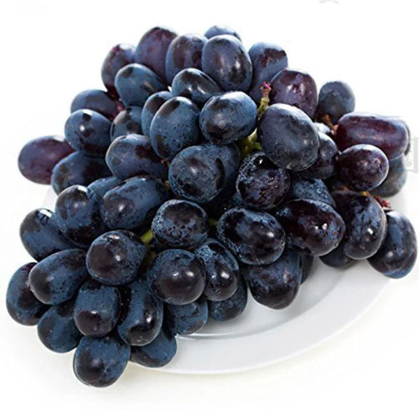 Fruit Seeds,Garden seeds, Seeds For Planting,Plant Seeds