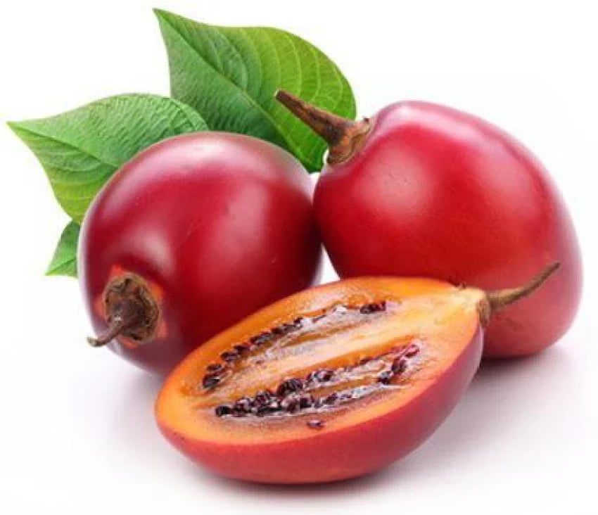 Fruit Seeds,Garden seeds, Seeds For Planting,Plant Seeds