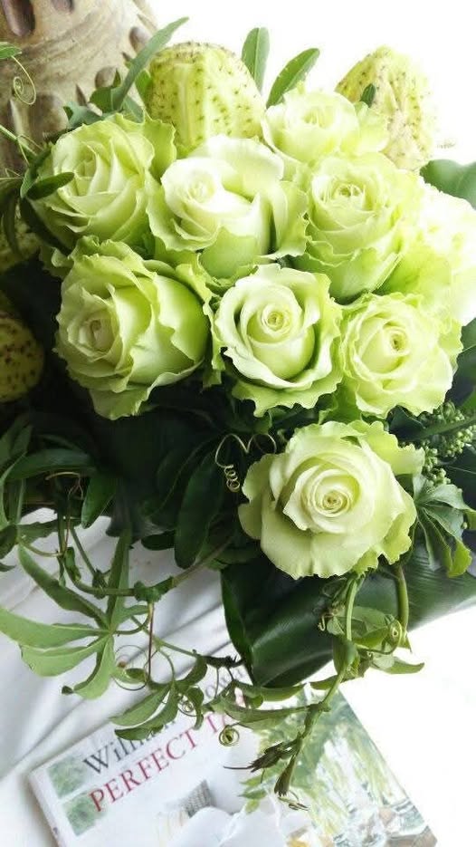 Green Rose Flower Seeds for Planting – Colorful Display, Heirloom, Non-GMO Seeds for Home Garden
