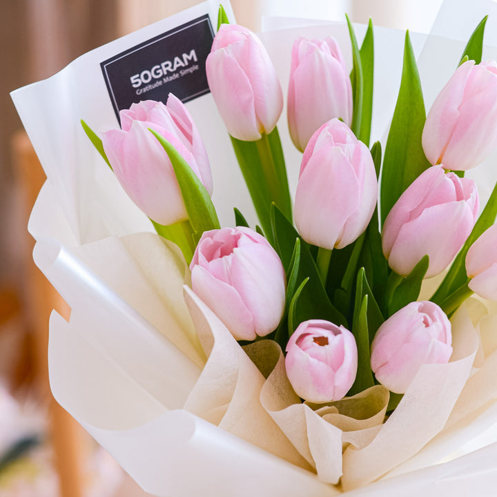Baby Pink Tulip Flower Seeds for Planting | Heirloom Non-GMO Organic Garden Seeds High Germination