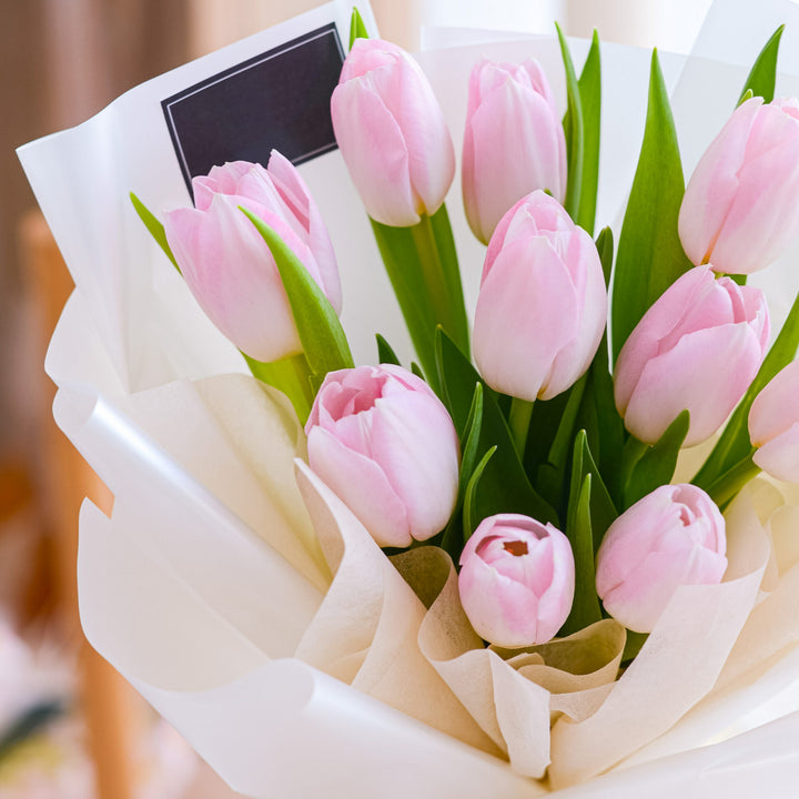 Light Pink Tulip Flower seeds for Planting – Sun Loving Heirloom, Non-GMO Seeds for Home Garden