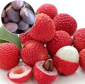 Leeche fruit seeds for planting - Heirloom & Non-GMO garden seeds, tropical juicy variety with high yield