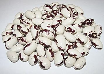 Vegetable Seeds,Garden seeds, Seeds For Planting,Plant Seeds