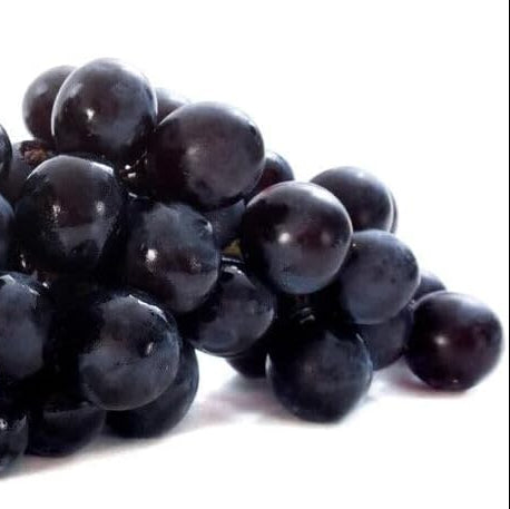 Fruit Seeds,Garden seeds, Seeds For Planting,Plant Seeds