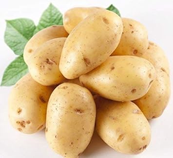 Vegetable Seeds,Garden seeds, Seeds For Planting,Plant Seeds