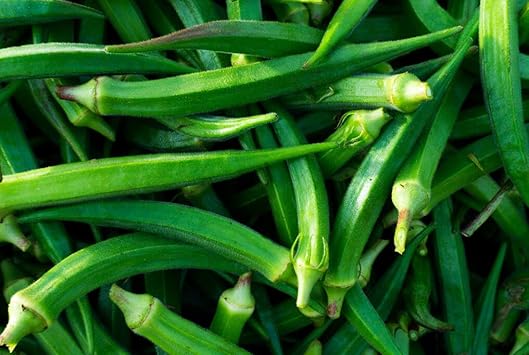 Vegetable Seeds,Garden seeds, Seeds For Planting,Plant Seeds