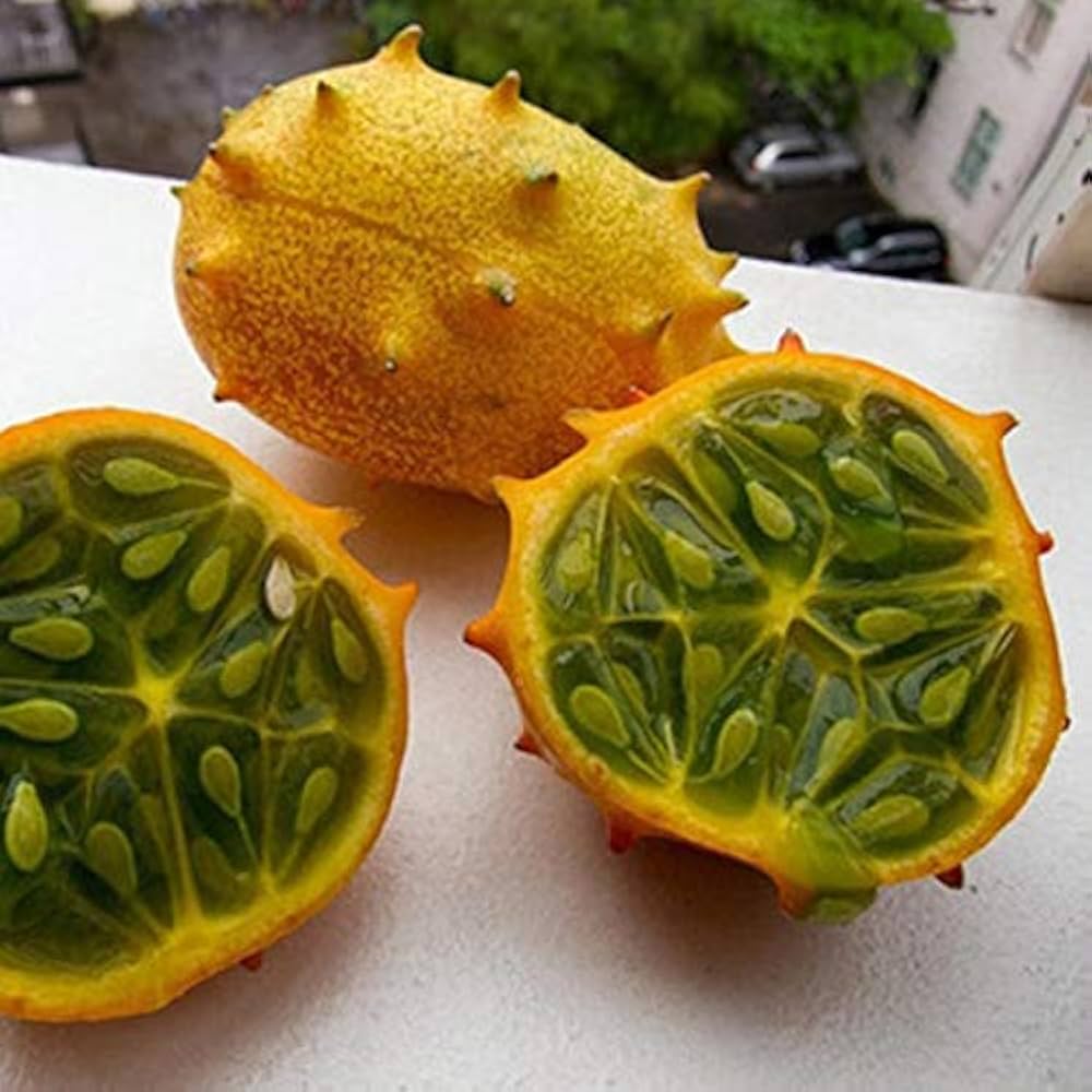 Kiwano Vegetable Seeds for Planting – Heirloom & Non-GMO Garden Seeds