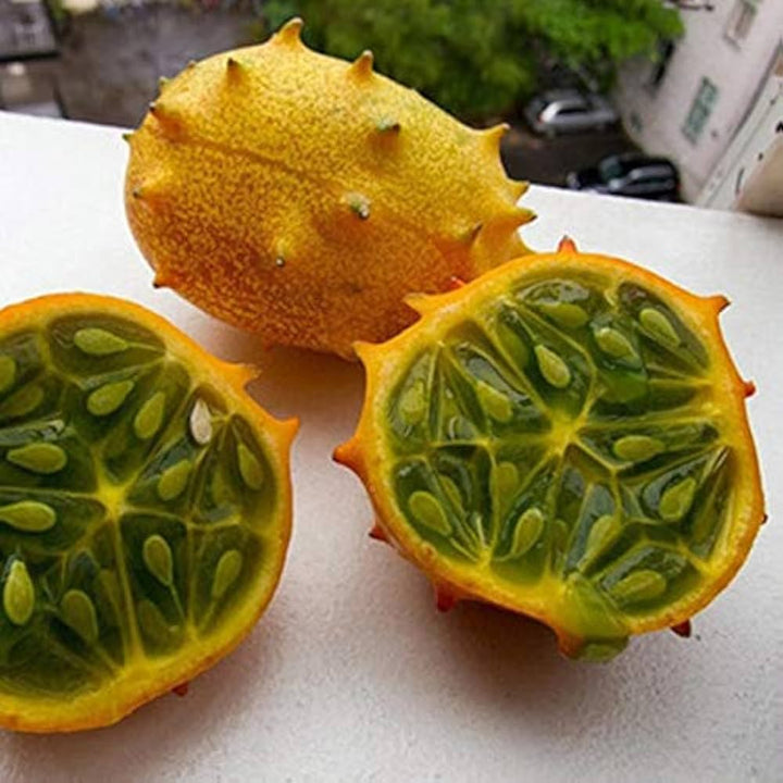 Kiwano Vegetable Seeds for Planting – Heirloom & Non-GMO Garden Seeds