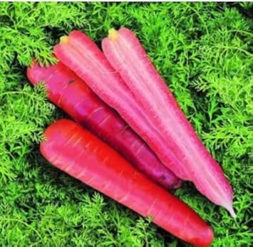 Vegetable Seeds,Garden seeds, Seeds For Planting,Plant Seeds