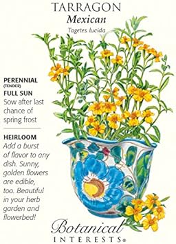 Flower Seeds, Seeds,Seeds For Planting,Plant Seeds