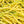 Vegetable Seeds,Garden seeds, Seeds For Planting,Plant Seeds