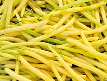Vegetable Seeds,Garden seeds, Seeds For Planting,Plant Seeds