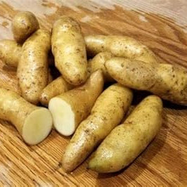 Vegetable Seeds,Garden seeds, Seeds For Planting,Plant Seeds