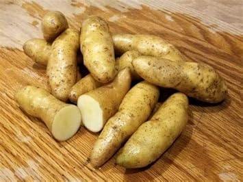 Vegetable Seeds,Garden seeds, Seeds For Planting,Plant Seeds