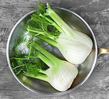 Herb Seeds,Garden seeds, Seeds For Planting,Plant Seeds