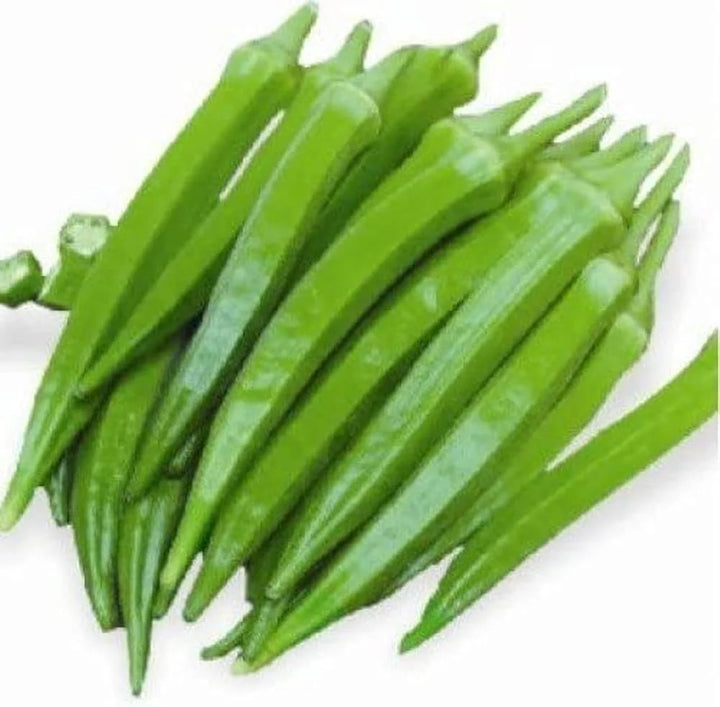 Okra Seeds for Planting – Heirloom, Non-GMO, High Germination Organic Garden Seeds for Tender Green Pods