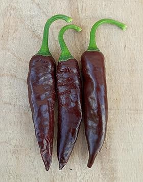 Vegetable Seeds,Garden seeds, Seeds For Planting,Plant Seeds