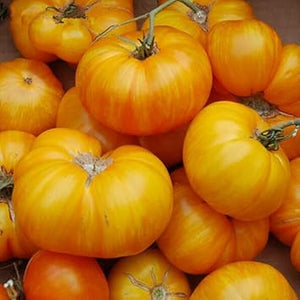 Vegetable Seeds,Garden seeds, Seeds For Planting,Plant Seeds