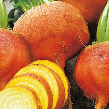 Vegetable Seeds,Garden seeds, Seeds For Planting,Plant Seeds