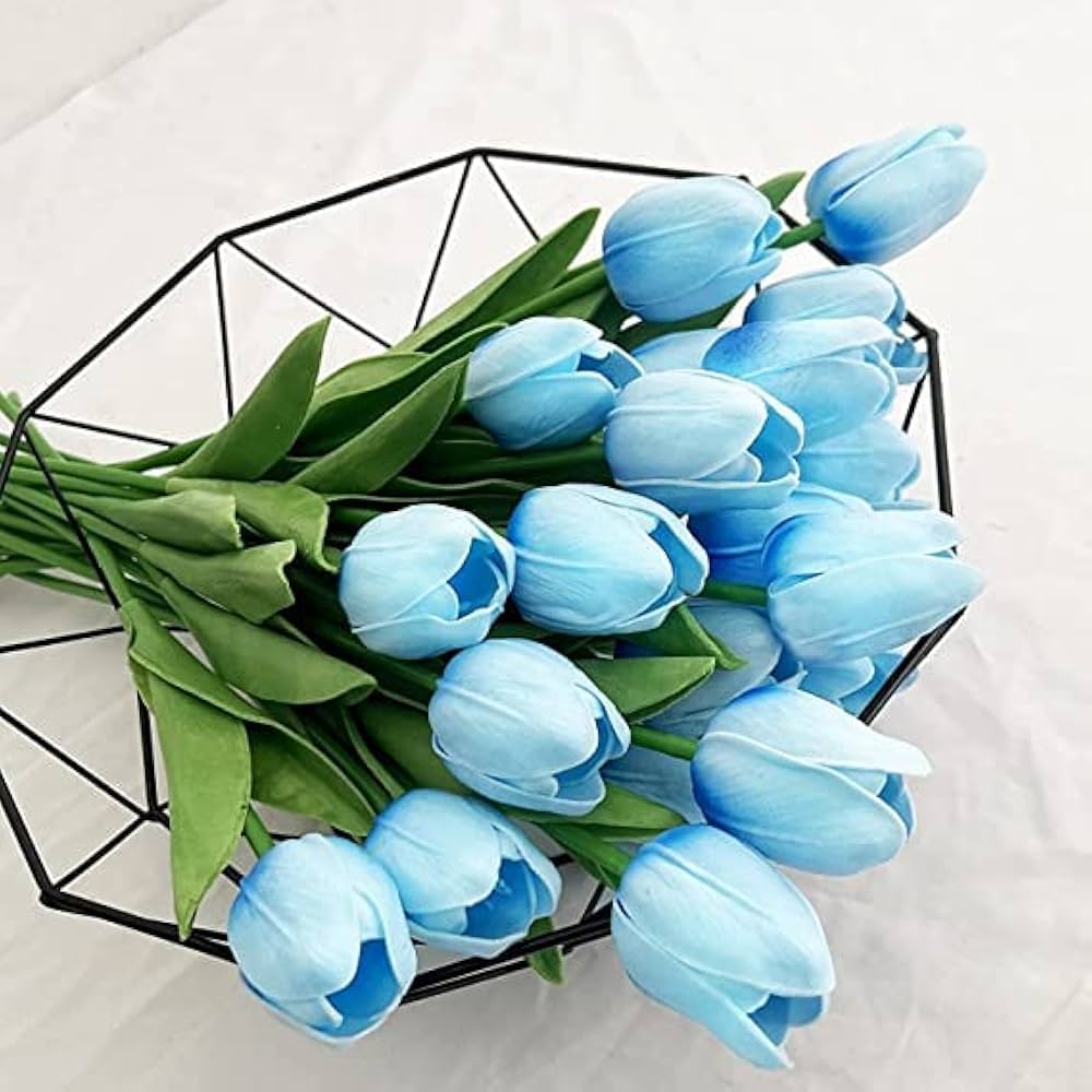 Sky Blue Tulip Flower Seeds for Planting – Heirloom, Non-GMO, Hardy High Germination Organic Garden Seeds