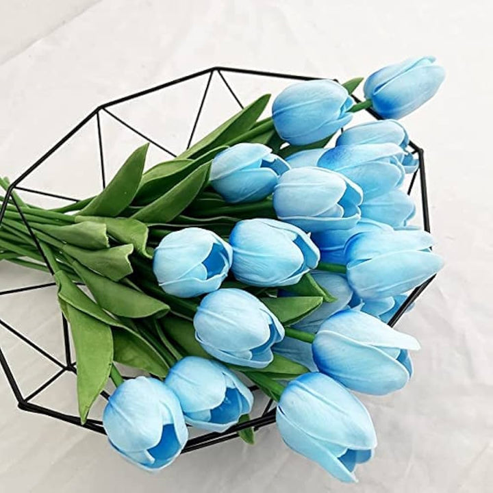Sky Blue Tulip Flower Seeds for Planting – Heirloom, Non-GMO, Hardy High Germination Organic Garden Seeds