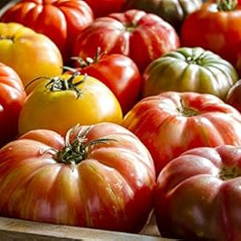 Vegetable Seeds,Garden seeds, Seeds For Planting,Plant Seeds