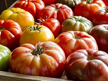 Vegetable Seeds,Garden seeds, Seeds For Planting,Plant Seeds