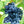 Black Grape Fruit Seeds for Planting – Heirloom, Non-GMO Juicy Garden Grape Seeds for Abundant Yields