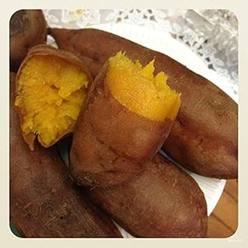 Vegetable Seeds,Garden seeds, Seeds For Planting,Plant Seeds