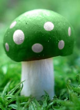 Vegetable Seeds,Garden seeds, Seeds For Planting,Plant Seeds