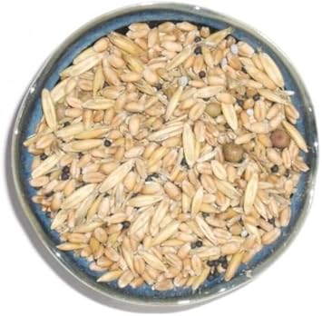 Vegetable Seeds,Garden seeds, Seeds For Planting,Plant Seeds