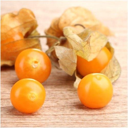 Orange Tomatillo Vegetable Seeds for Planting – Heirloom & Non-GMO Seeds for Tangy Salsa Garden Harvests