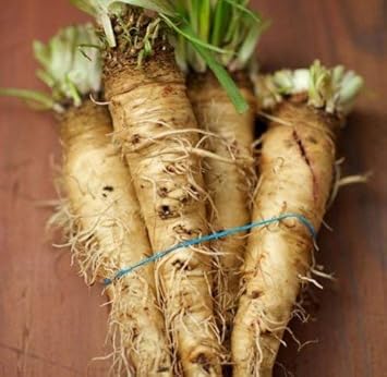 Vegetable Seeds,Garden seeds, Seeds For Planting,Plant Seeds