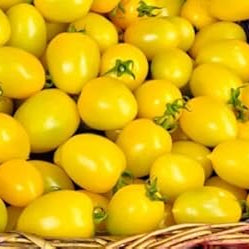 Vegetable Seeds,Garden seeds, Seeds For Planting,Plant Seeds