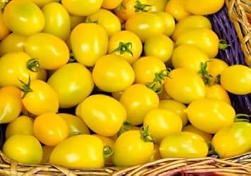 Vegetable Seeds,Garden seeds, Seeds For Planting,Plant Seeds