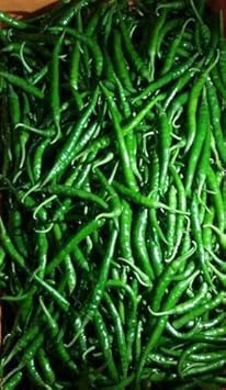 Vegetable Seeds,Garden seeds, Seeds For Planting,Plant Seeds