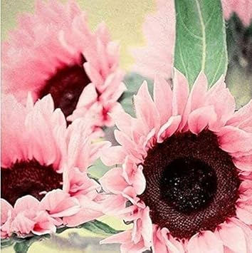 Flower Seeds, Seeds,Seeds For Planting,Plant Seeds
