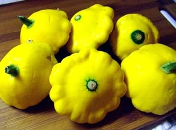 Vegetable Seeds,Garden seeds, Seeds For Planting,Plant Seeds