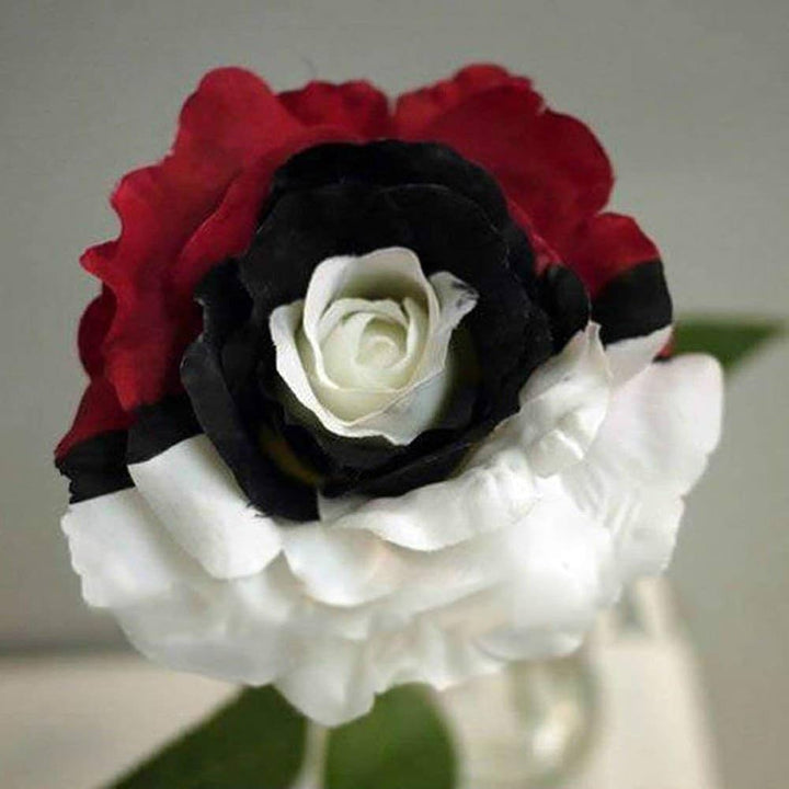 Flower Seeds, Seeds,Seeds For Planting,Plant Seeds