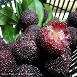 Fruit Seeds,Garden seeds, Seeds For Planting,Plant Seeds