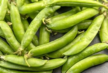 Vegetable Seeds,Garden seeds, Seeds For Planting,Plant Seeds